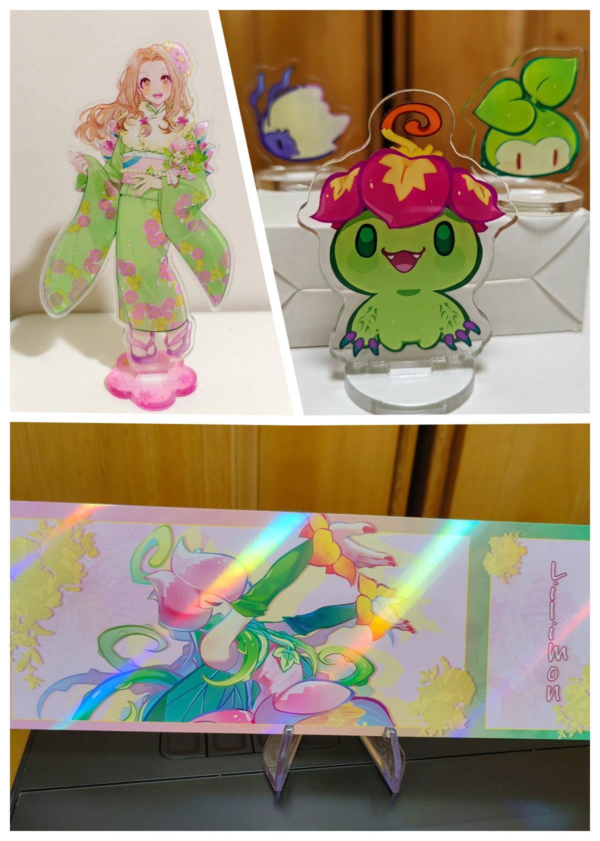 Acrylic Series Second Launch