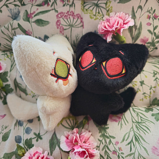 In stock black and white cats