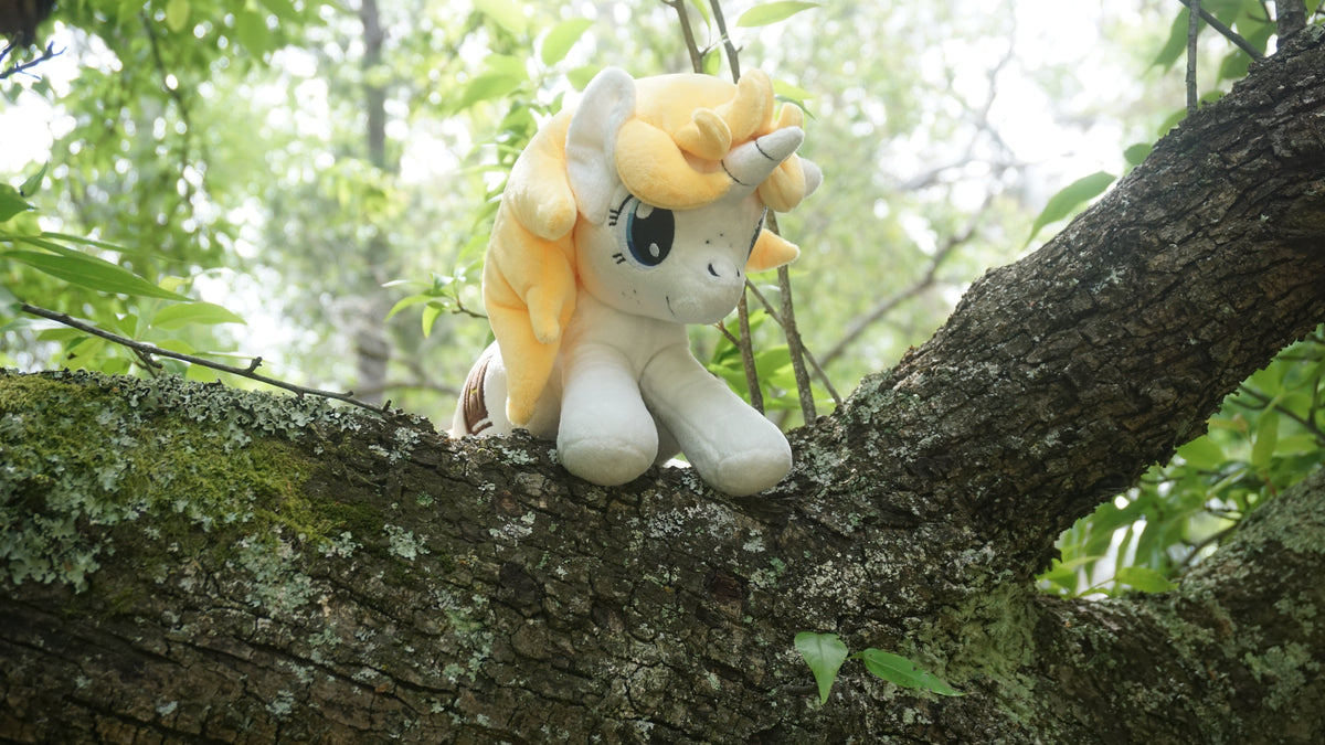 Lore Nook