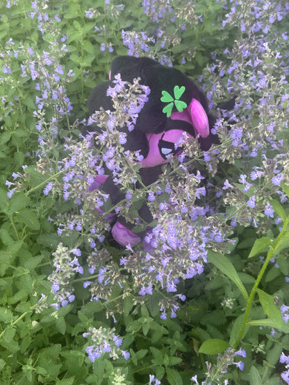Doomy Gloom Plush